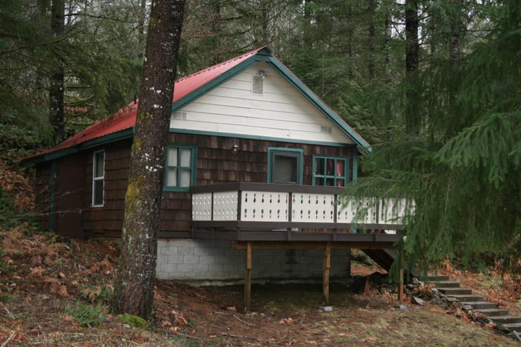 Mountainside Chalet - Tiny Home Паквуд Экстерьер фото