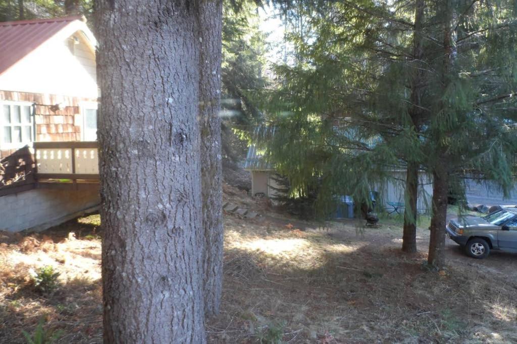 Mountainside Chalet - Tiny Home Паквуд Экстерьер фото